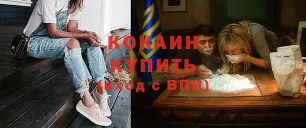 мет Арсеньев